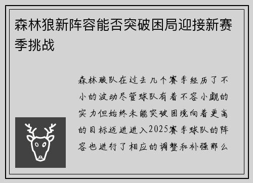 森林狼新阵容能否突破困局迎接新赛季挑战